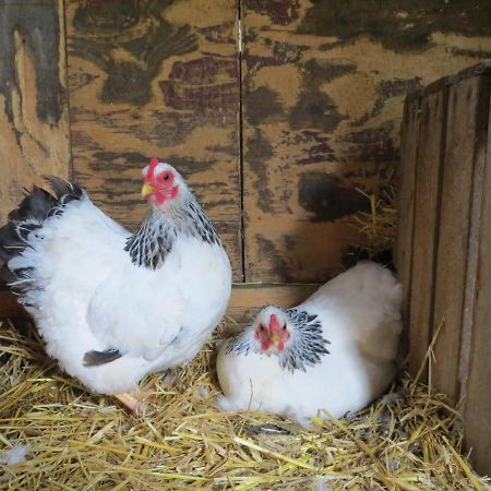Vakantiehuis Het Wapen Van Heeckeren Hummelo ภายนอก รูปภาพ